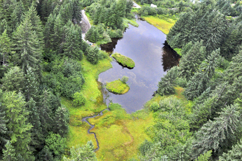 Melanie Heinrich Images - Alaska